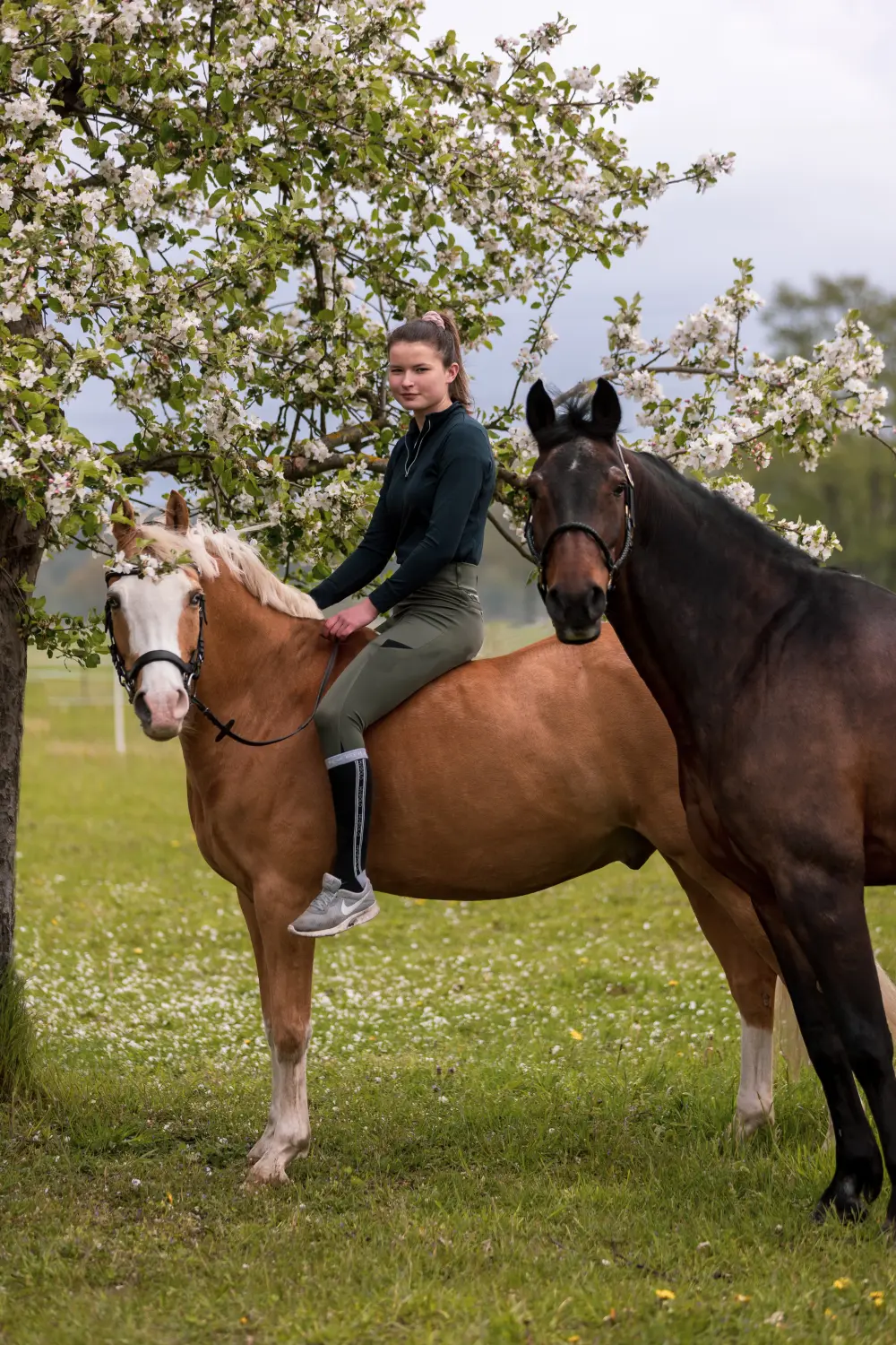 Pferd Reittherapie Lena Bausch in Essel